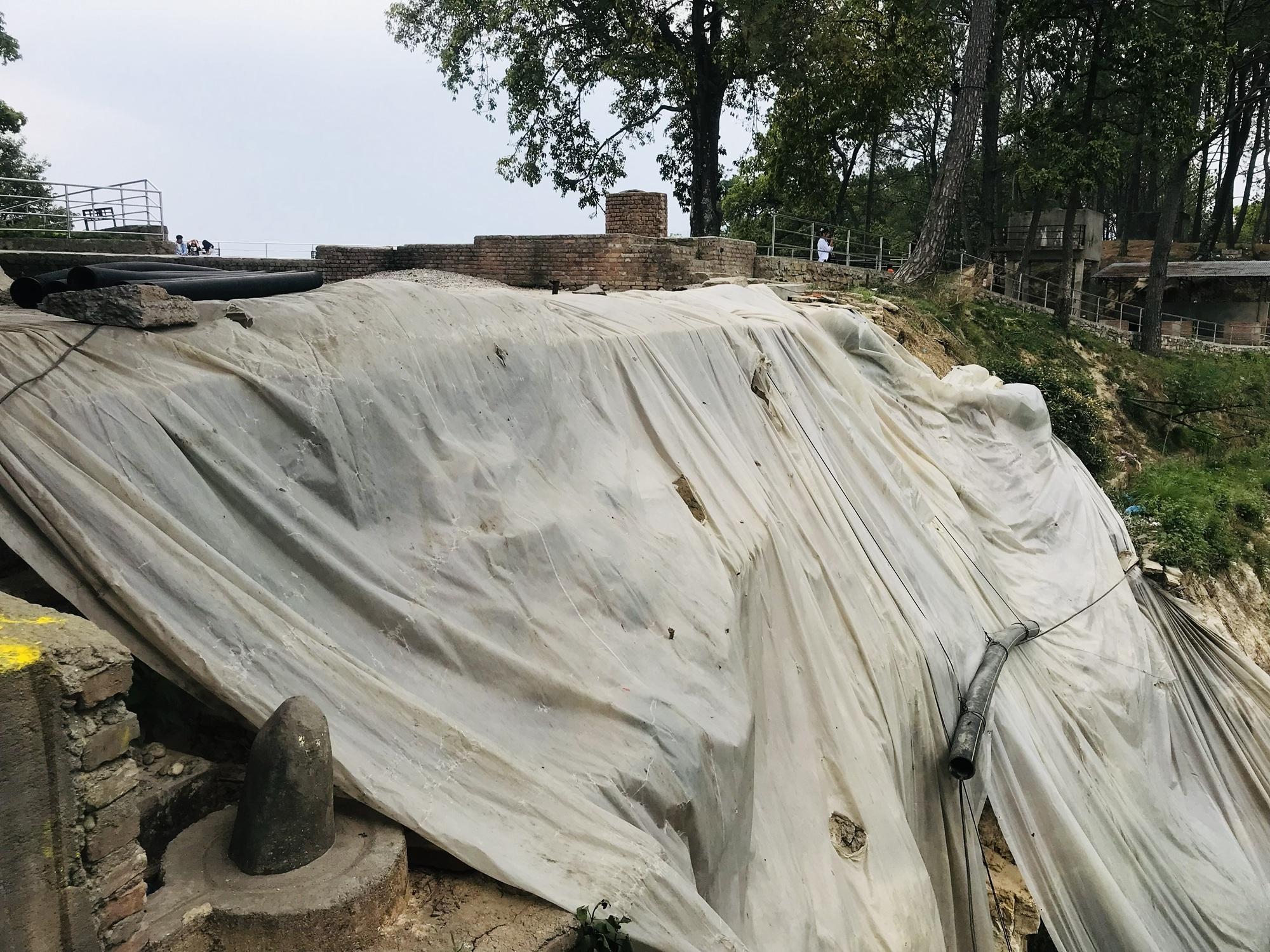 Nilbarahi Urban Forest Ecosystem